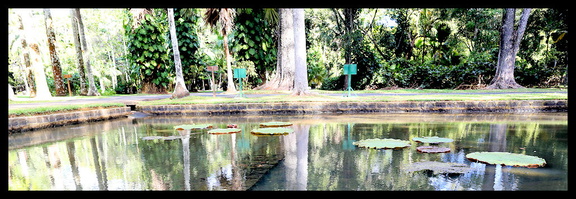 5D3 0148 M2 s optimal b