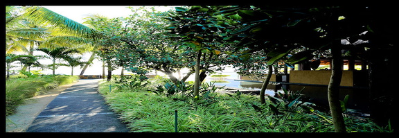 5D3 0198 M s optimal b