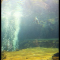 Acquarium de Gênes 5D3 2129 s opt-Arrière-plan Vib20